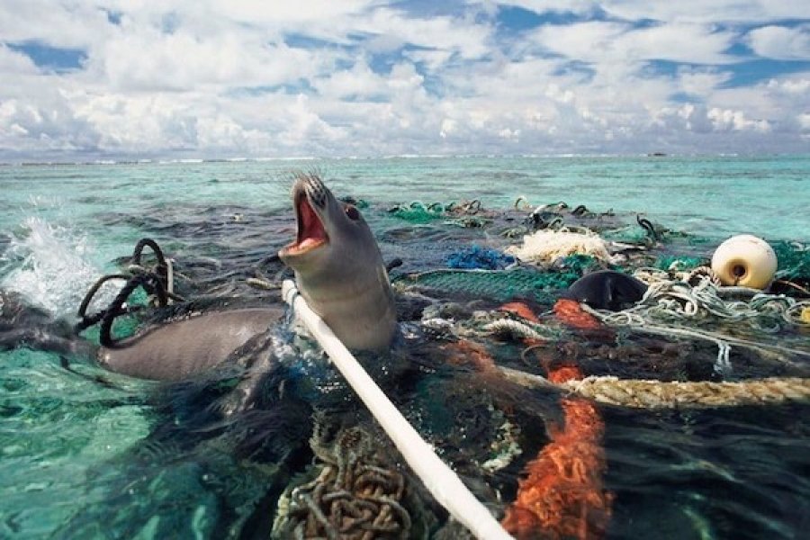 Indonesia Penyumbang Sampah Ke Terbanyak Di Lautan